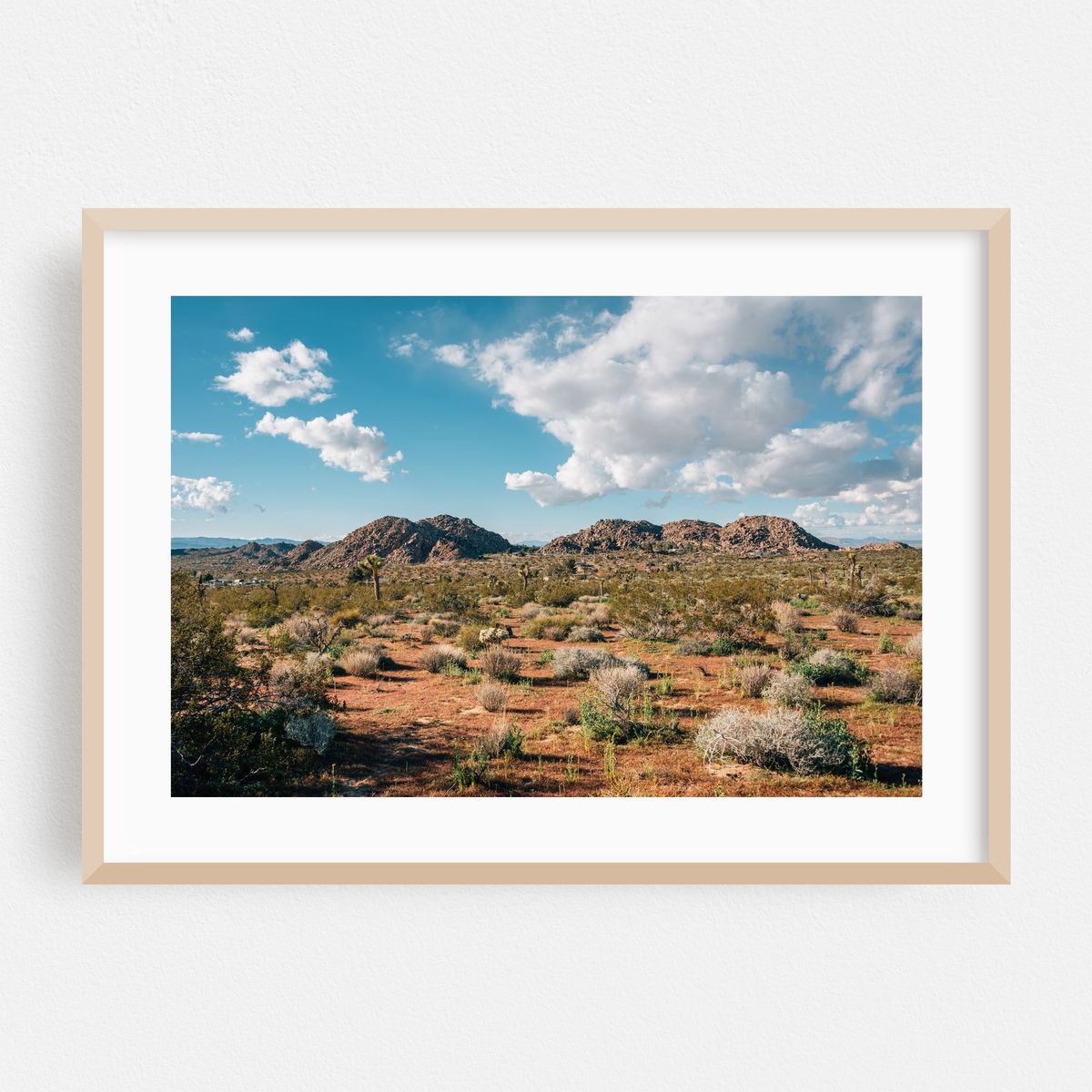 Desert Landscape, Joshua Tree 02 – image 1 of 6
