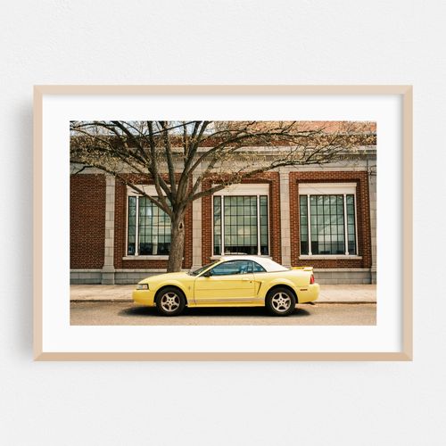 Yellow Mustang, Ocean Grove