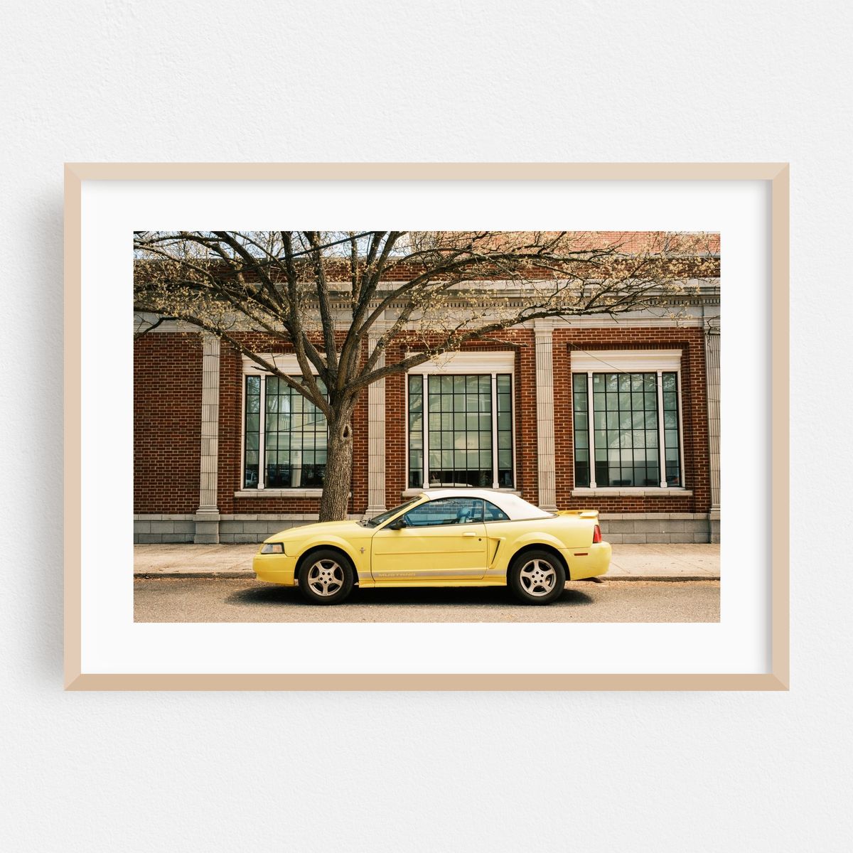 Yellow Mustang, Ocean Grove – image 1 of 6