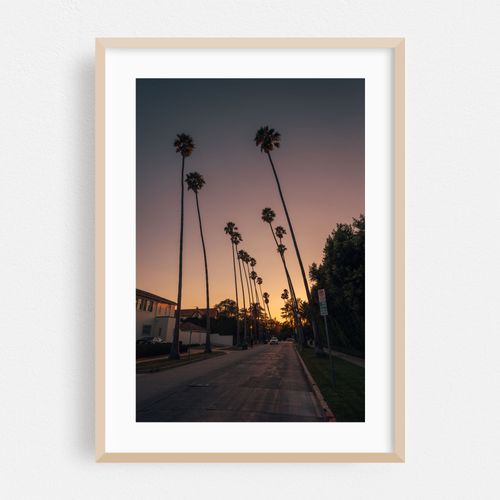 Palm Trees Sunset, LA
