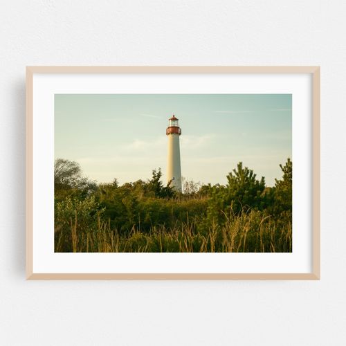 Cape May Lighthouse Through Trees