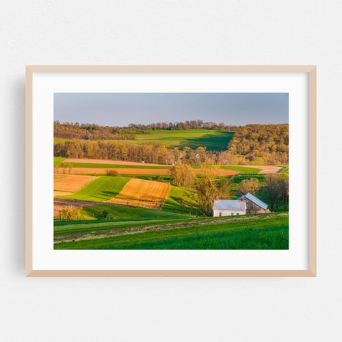 Rolling Hills 02