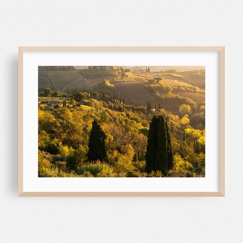 Tuscan Countryside in Autumn 3