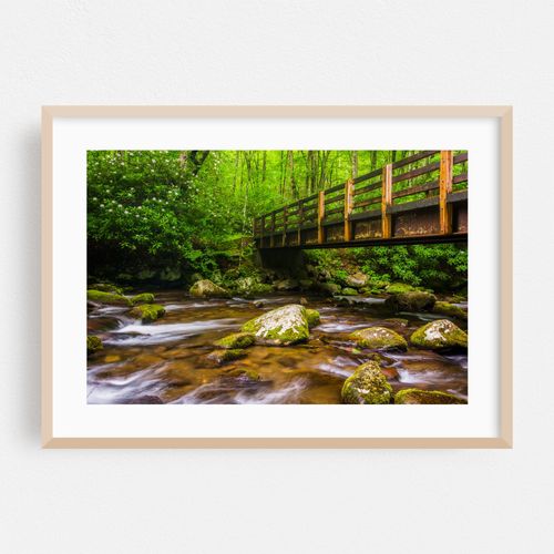 Walking the Smokies