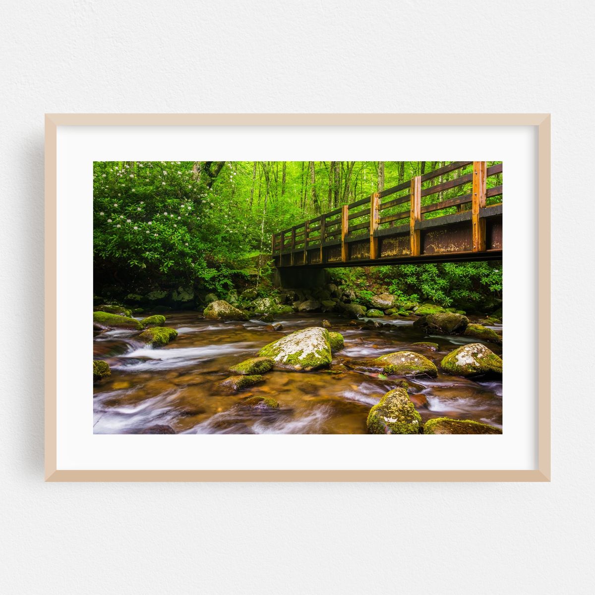 Walking the Smokies – image 1 of 6