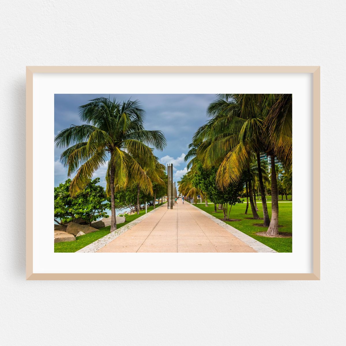 South Point Park Palms – image 1 of 6