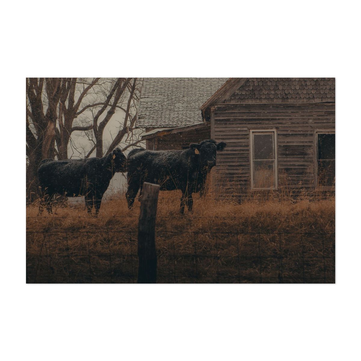 Near Woodville 03 – image 1 of 2