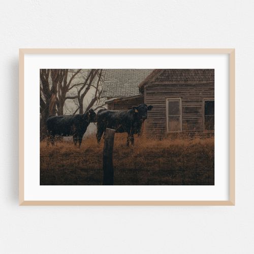 Near Woodville 03