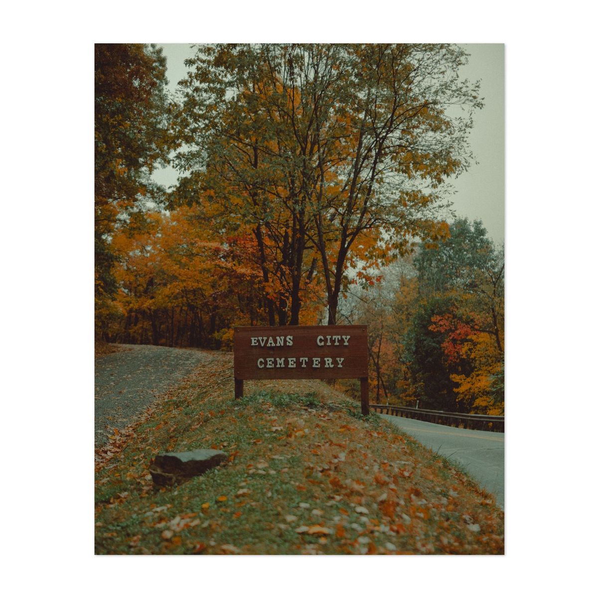 Night of the Living Dead Cemetery 02 – image 1 of 2