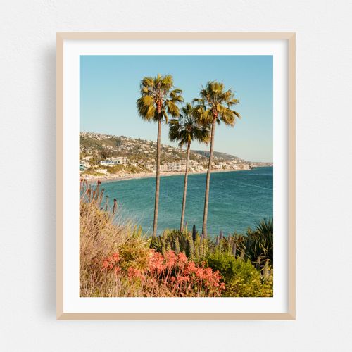 Palms at Heisler Park, Laguna Beach 01