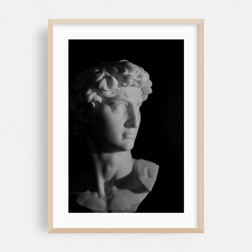 David in Monochrome