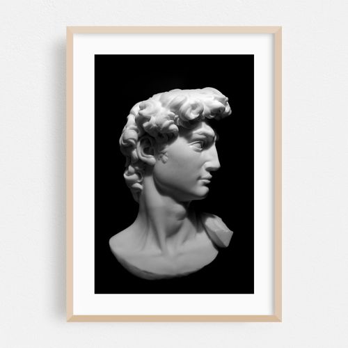David in Monochrome