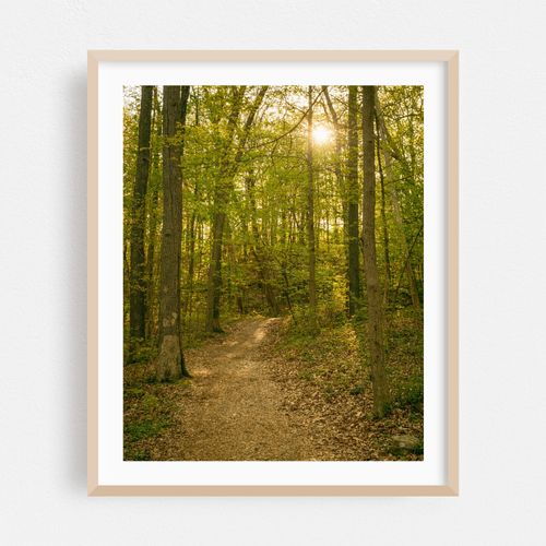 Ferncliff Forest, Rhinebeck 03