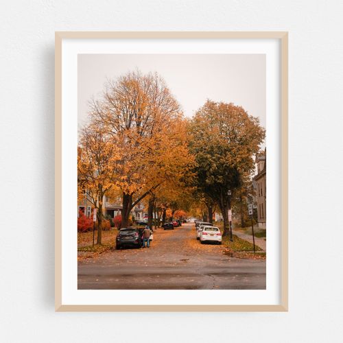 Autumn on Anderson Place, Buffalo