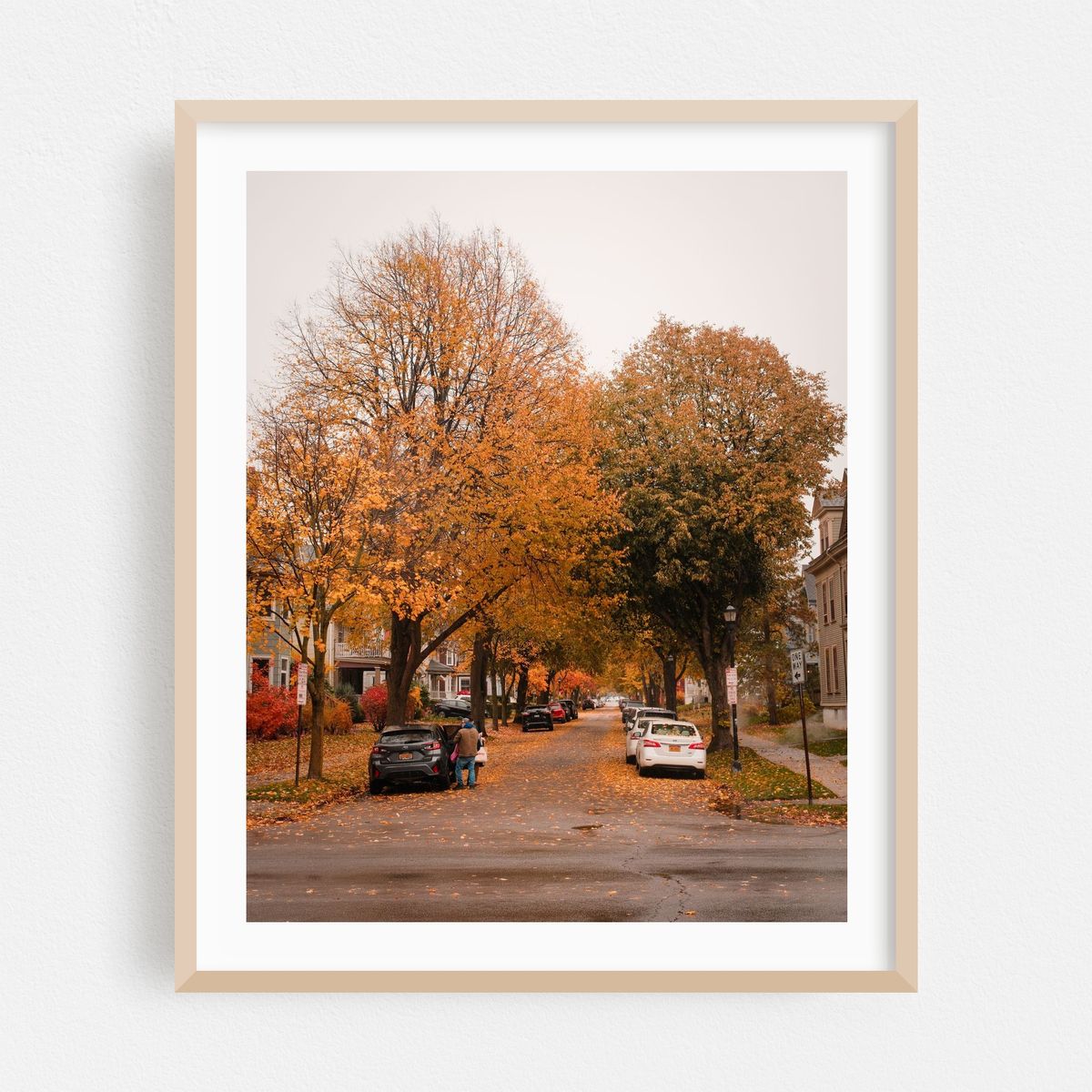 Autumn on Anderson Place, Buffalo – image 1 of 12