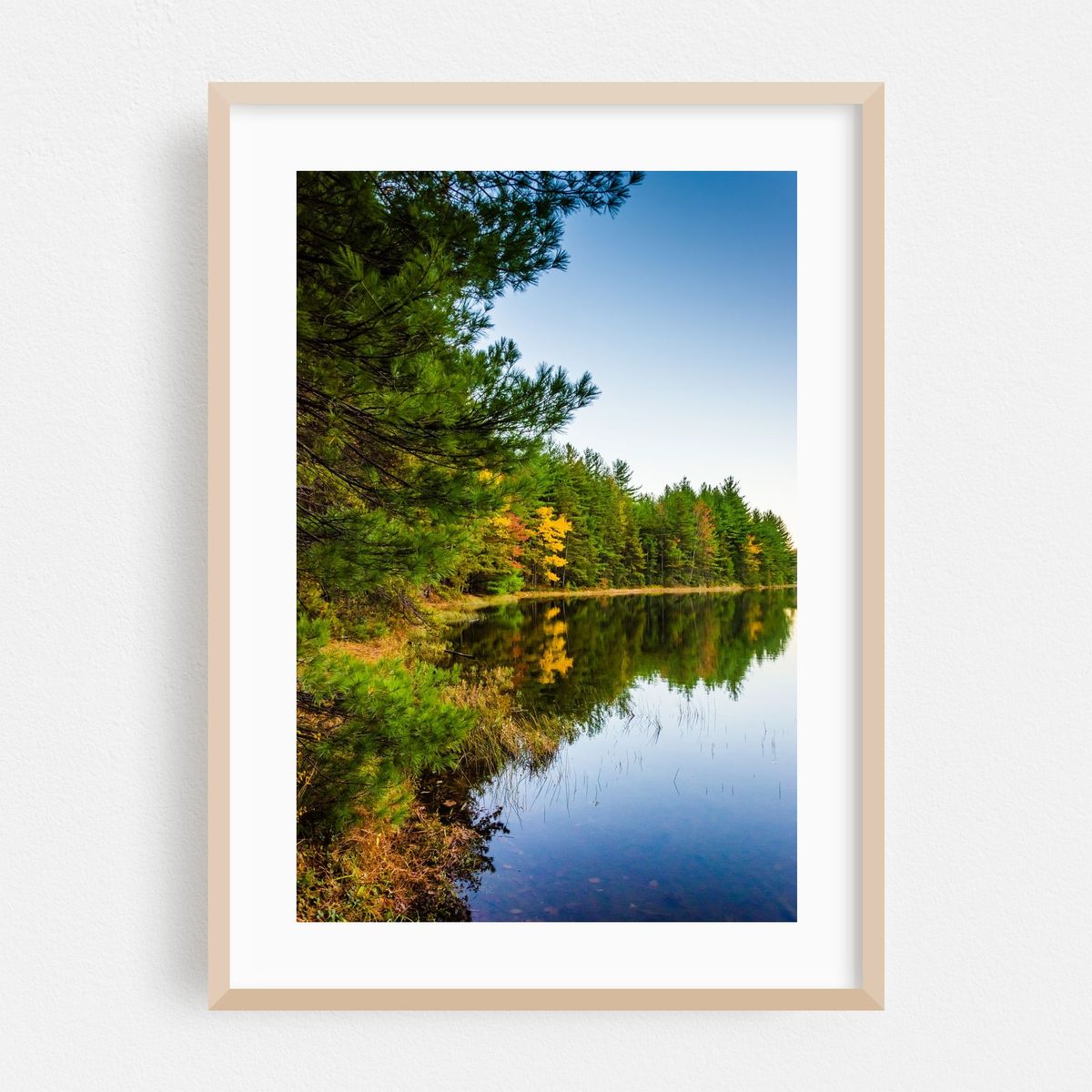 Long Pine Run Autumn 01 – image 1 of 16