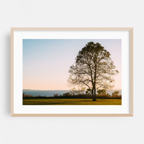 Sunset at Elk Neck State Park