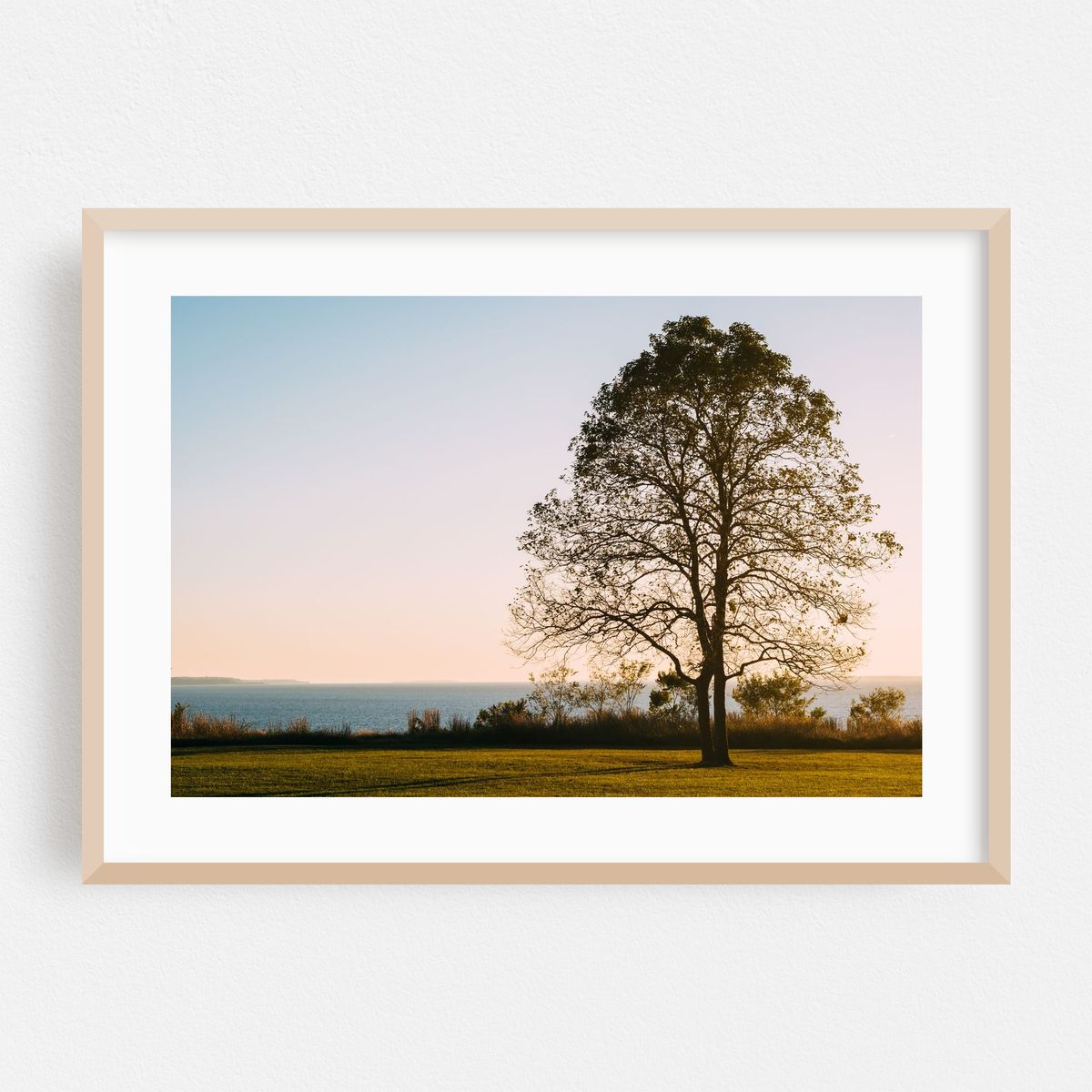 Sunset at Elk Neck State Park – image 1 of 6