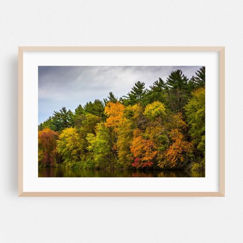 Autumn on Lake Williams