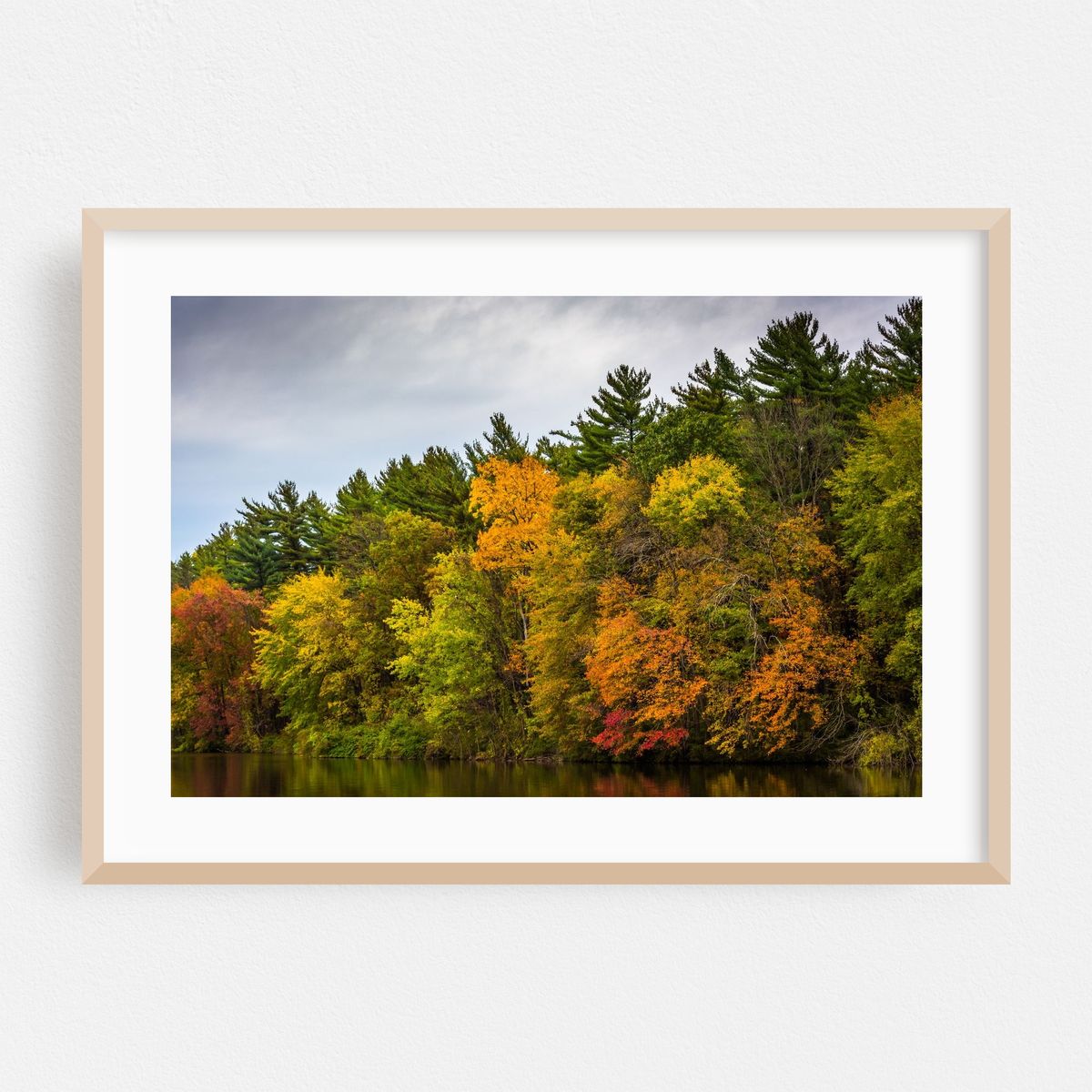 Autumn on Lake Williams – image 1 of 6