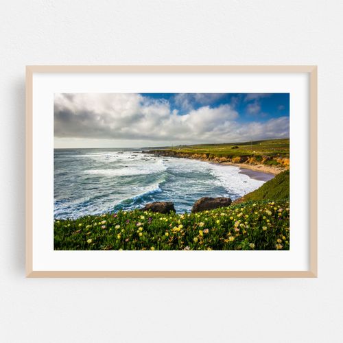 Pescadero Flowers