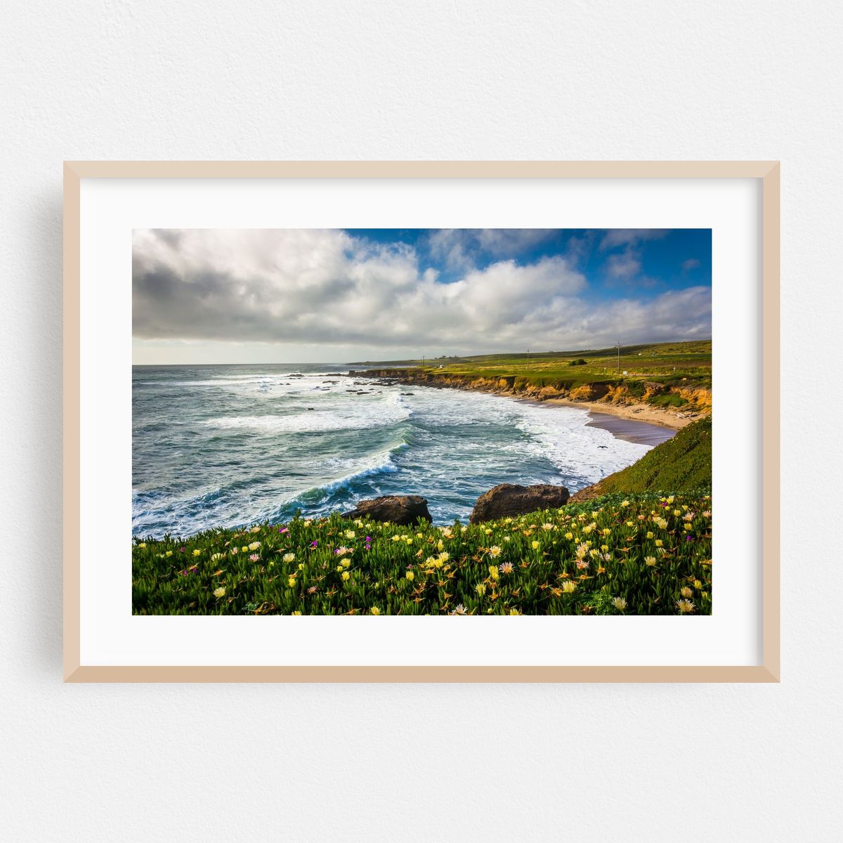 Pescadero Flowers – image 1 of 6