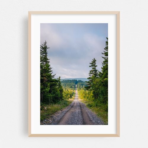 Dolly Sods Wilderness