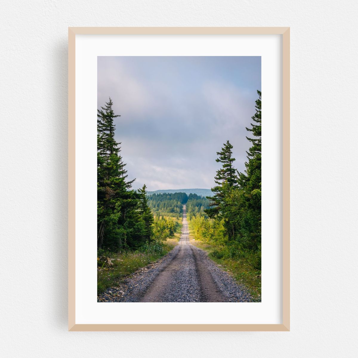 Dolly Sods Wilderness – image 1 of 16