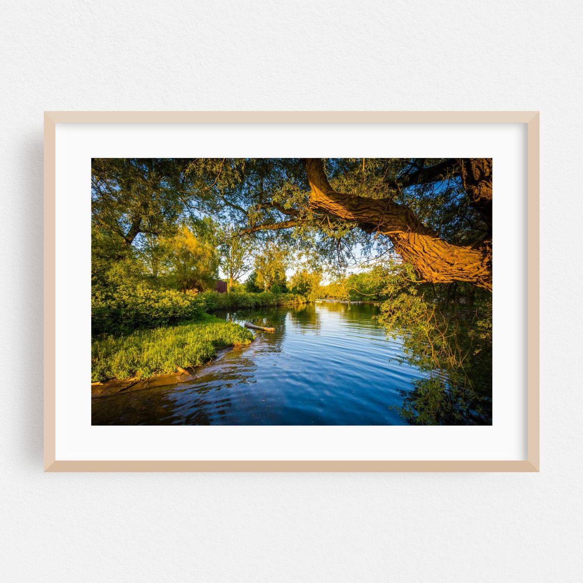 Lake Ontario, at Centre Island – image 1 of 6