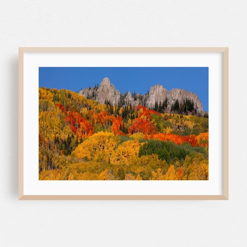 Colorado Kebler Pass Autumn