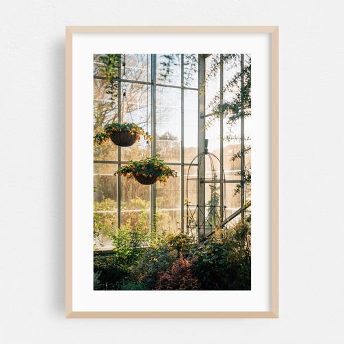 Wave Hill Greenhouse 03
