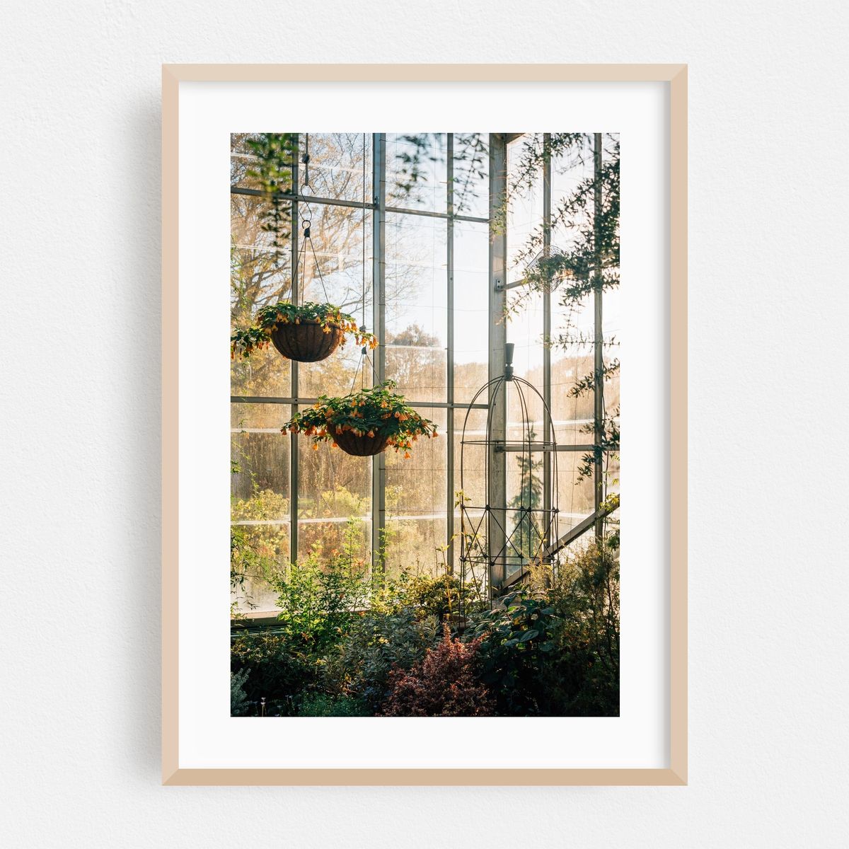 Wave Hill Greenhouse 03 – image 1 of 16