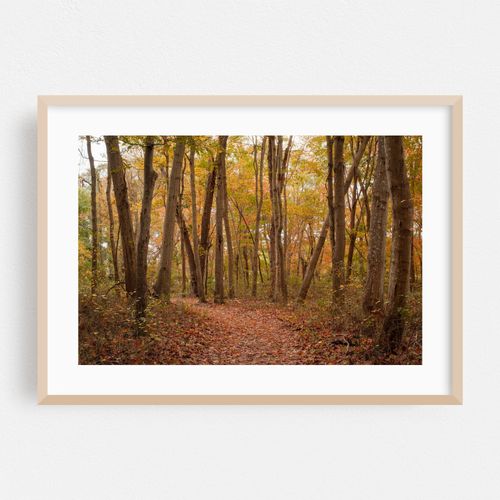 Autumn in Farmingville 02