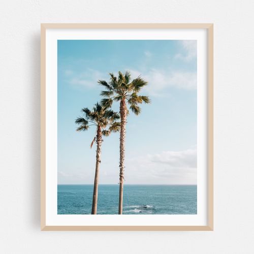 Treasure Island Palms, Laguna Beach 01