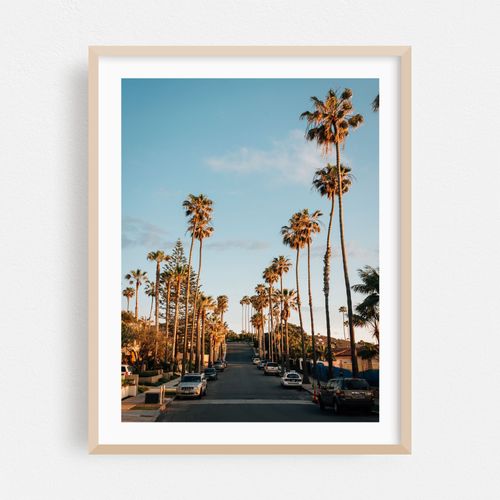 La Jolla Palms