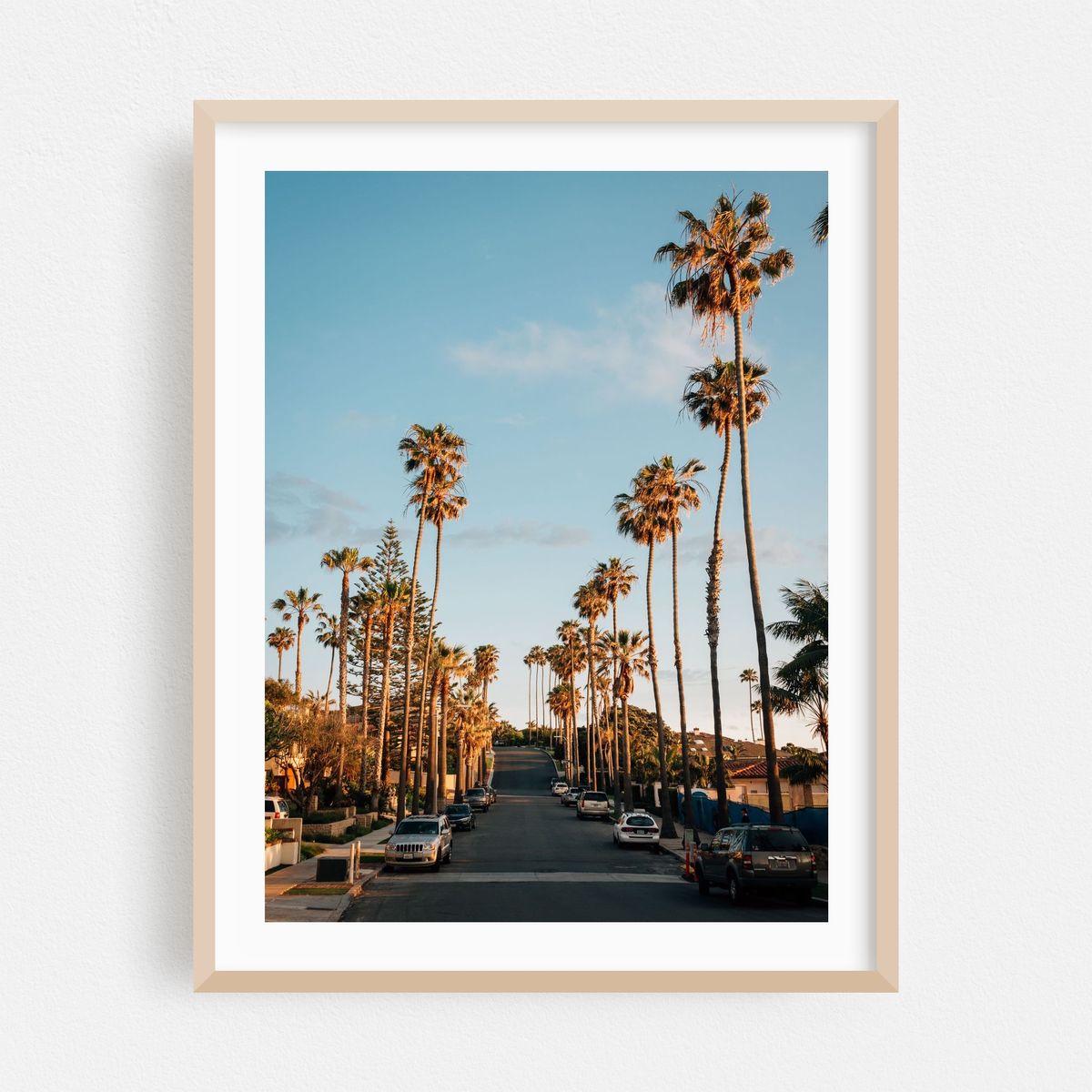 La Jolla Palms – image 1 of 3