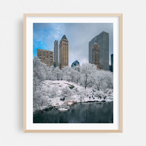 The Pond, Central Park 01