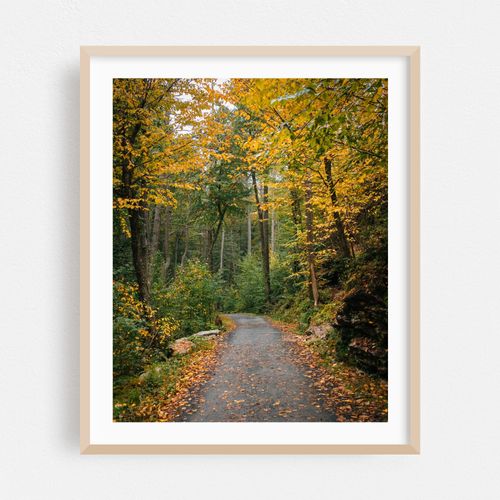 Autumn Color at Minnewaska State Park 01