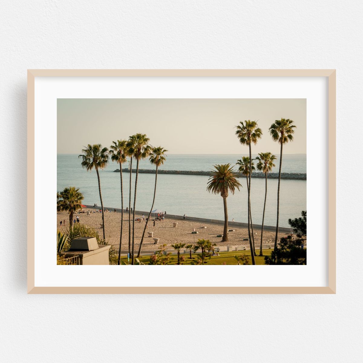 Palms in Corona Del Mar – image 1 of 6