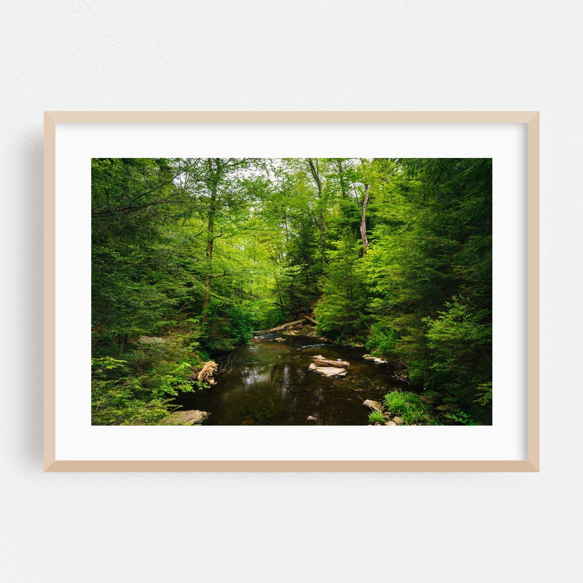 Ricketts Lush – image 1 of 6