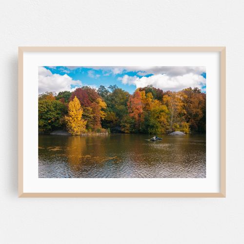 The Lake 05