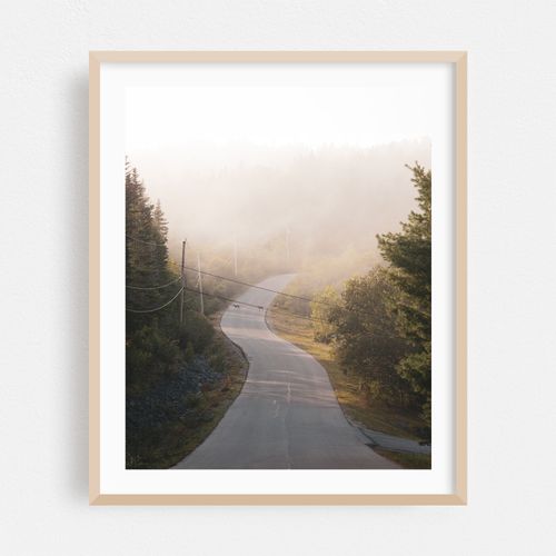 Fog in Cutler 02