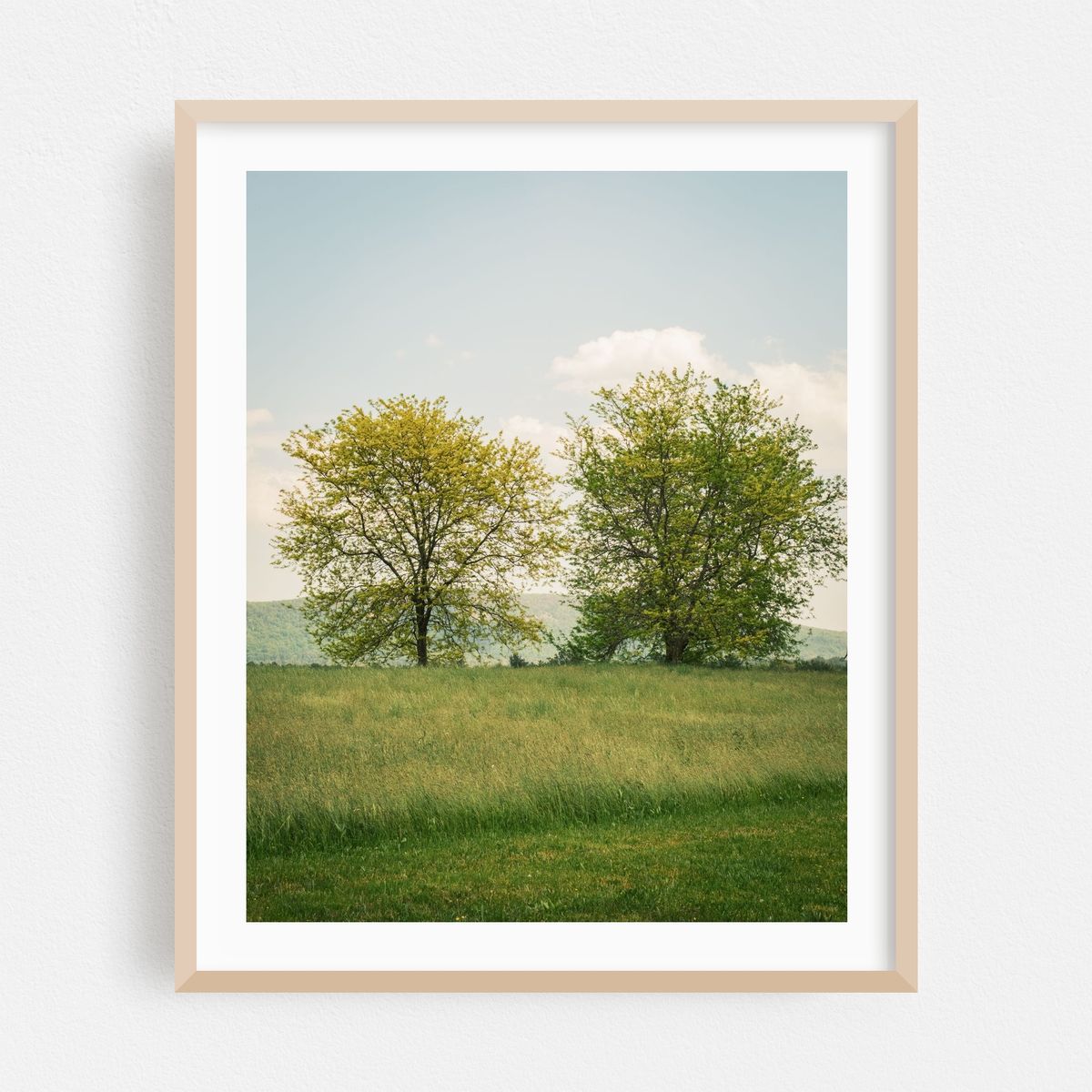 Two Trees, Easthampton – image 1 of 12