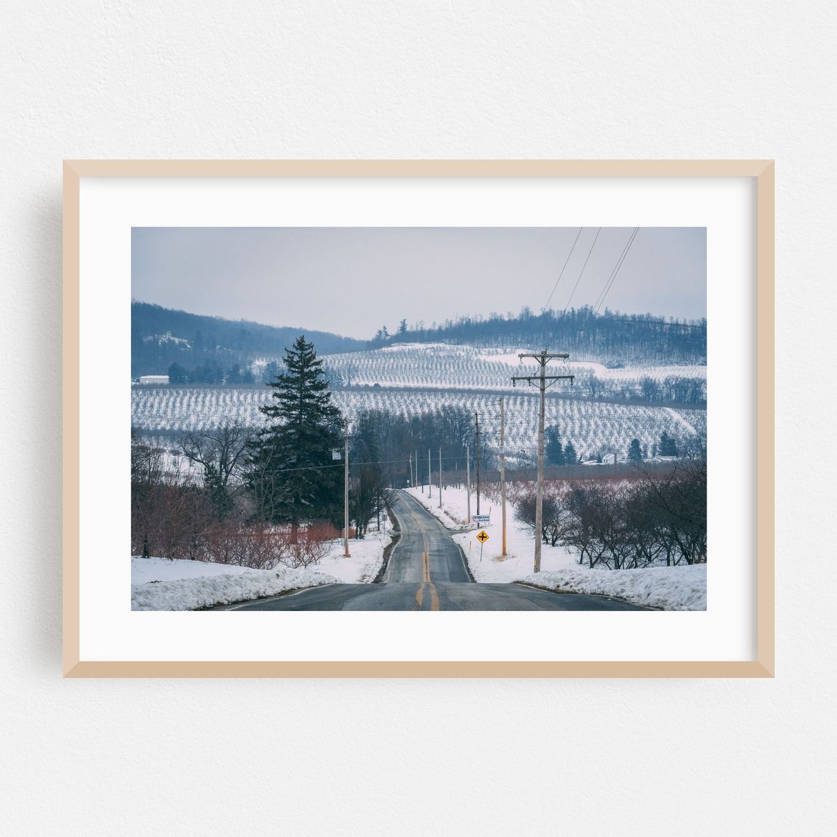 Snowy Hills, Adams County – image 1 of 6