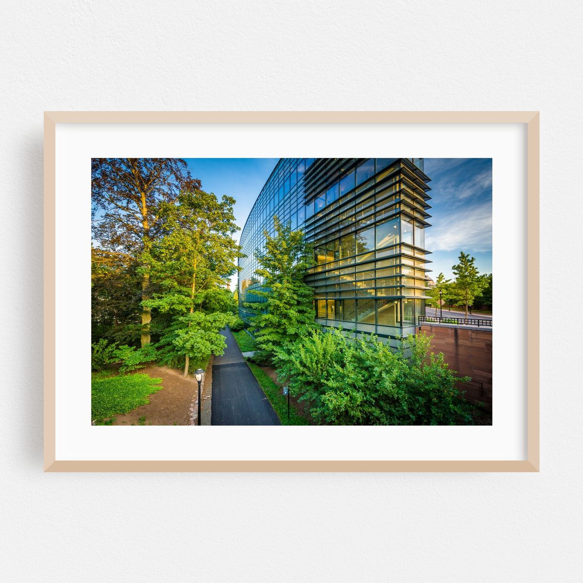 Modern Yale – image 1 of 6