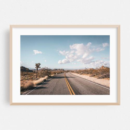 Joshua Tree Road 04
