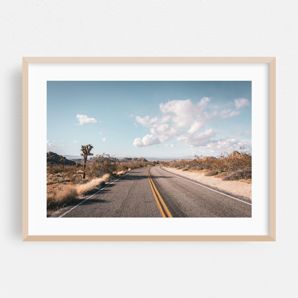 Joshua Tree Road 04 – image 1 of 6