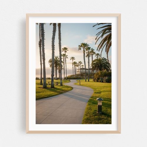 Palms at Treasure Island Park, Laguna Beach