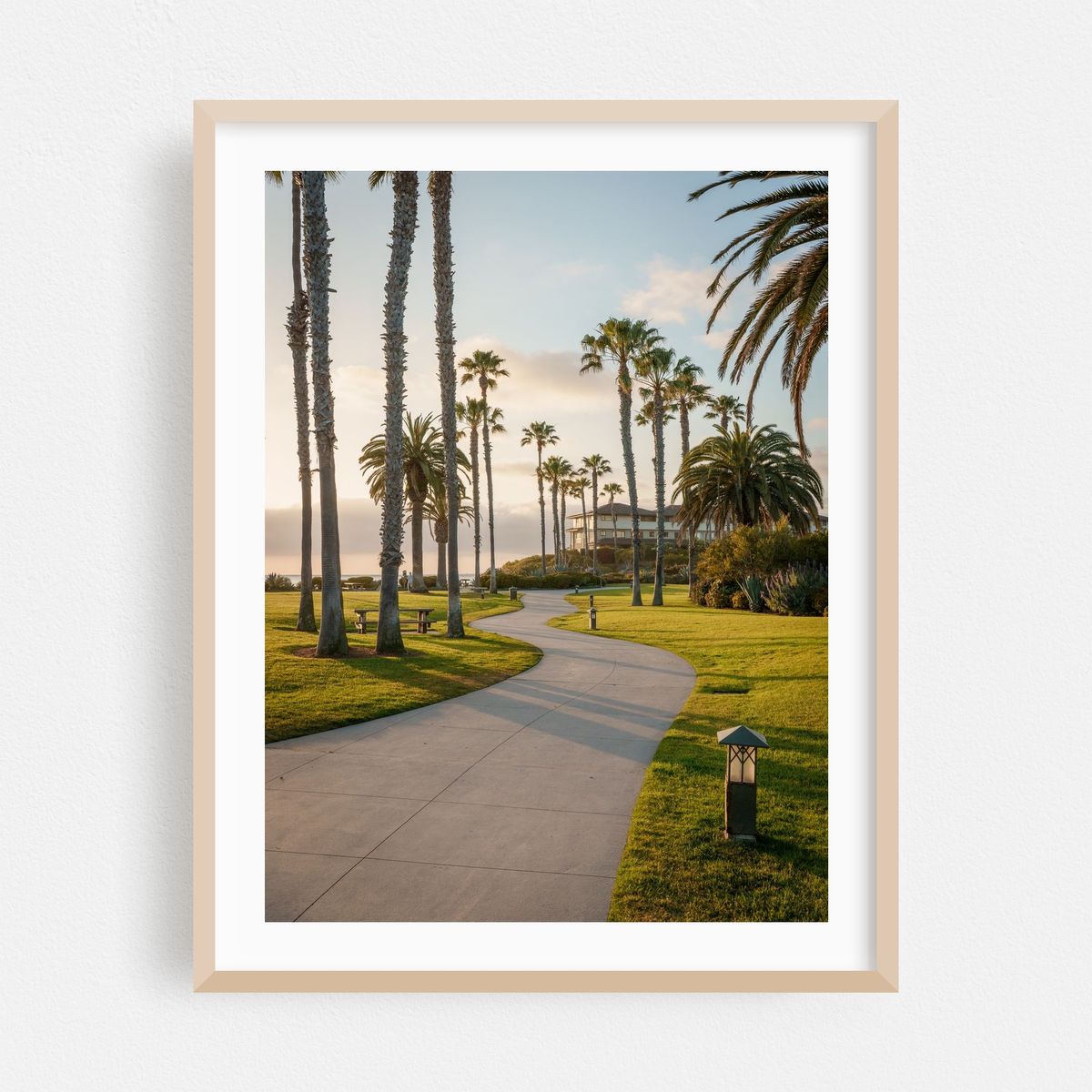 Palms at Treasure Island Park, Laguna Beach – image 1 of 3