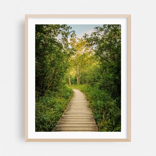Dolly Sods Trail 01